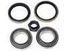 Juego, rodamiento rueda Wheel bearing kit:5 007 040