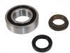 ホイールベアリング議員キット Wheel Bearing Rep. kit:2121-2403080