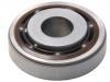 Friction Bearing Friction Bearing:91166315