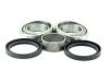 وإذ تضع عجلة النائب عدة Wheel Bearing Rep. kit:542350077