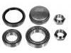 وإذ تضع عجلة النائب عدة Wheel bearing kit:3350.22