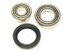 وإذ تضع عجلة النائب عدة Wheel Bearing Rep. kit:5 007 027