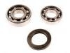 ремкомплект подшипники Wheel Bearing Rep. kit:VKBA 887